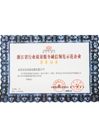 浙江省質量服務誠信領先示范企業